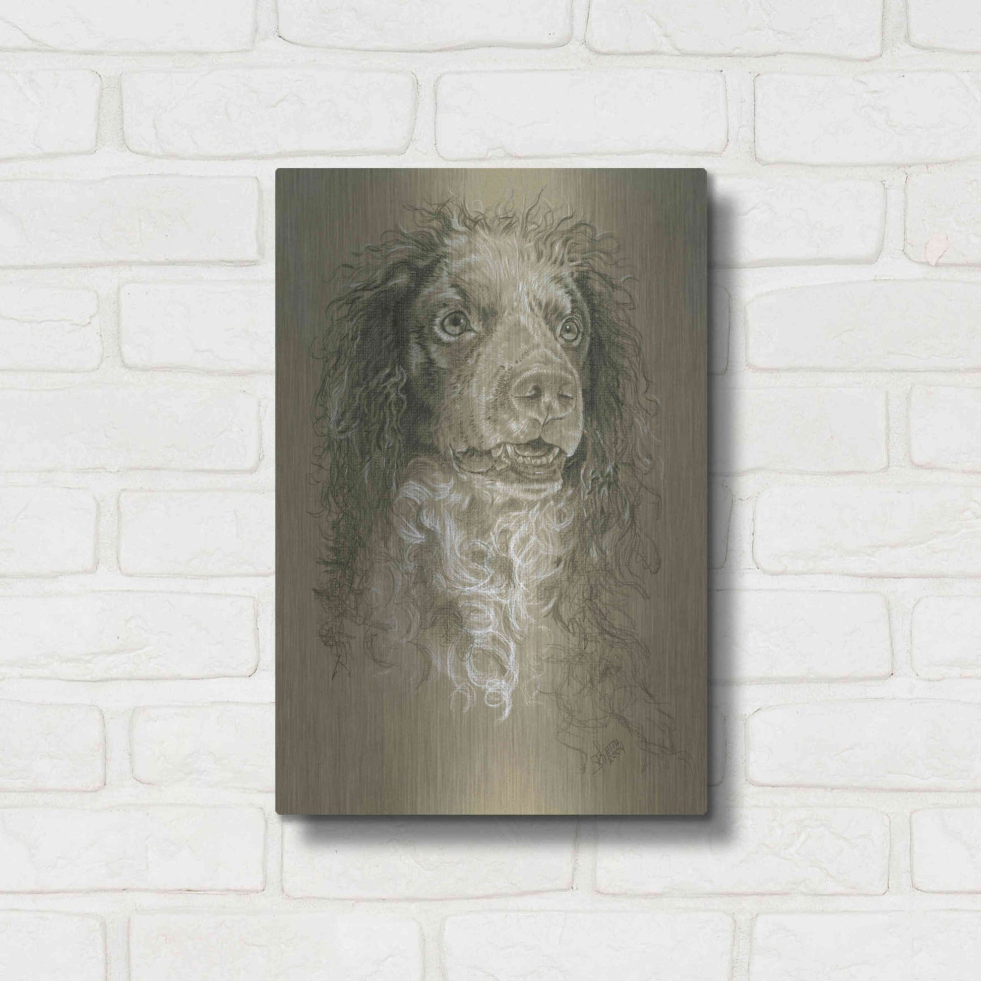 Luxe Metal Art 'Point-Audemer Spaniel' by Barbara Keith, Metal Wall Art,12x16
