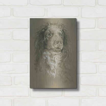 Luxe Metal Art 'Point-Audemer Spaniel' by Barbara Keith, Metal Wall Art,12x16