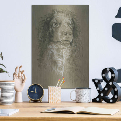 Luxe Metal Art 'Point-Audemer Spaniel' by Barbara Keith, Metal Wall Art,12x16
