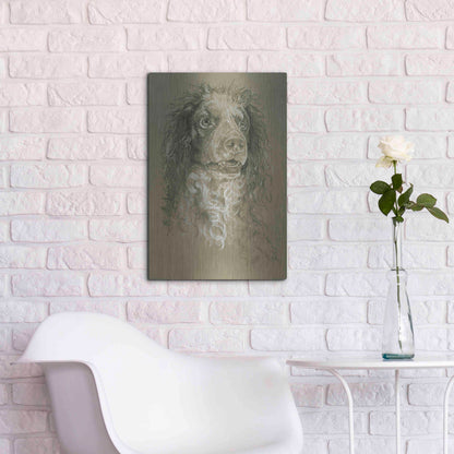 Luxe Metal Art 'Point-Audemer Spaniel' by Barbara Keith, Metal Wall Art,16x24