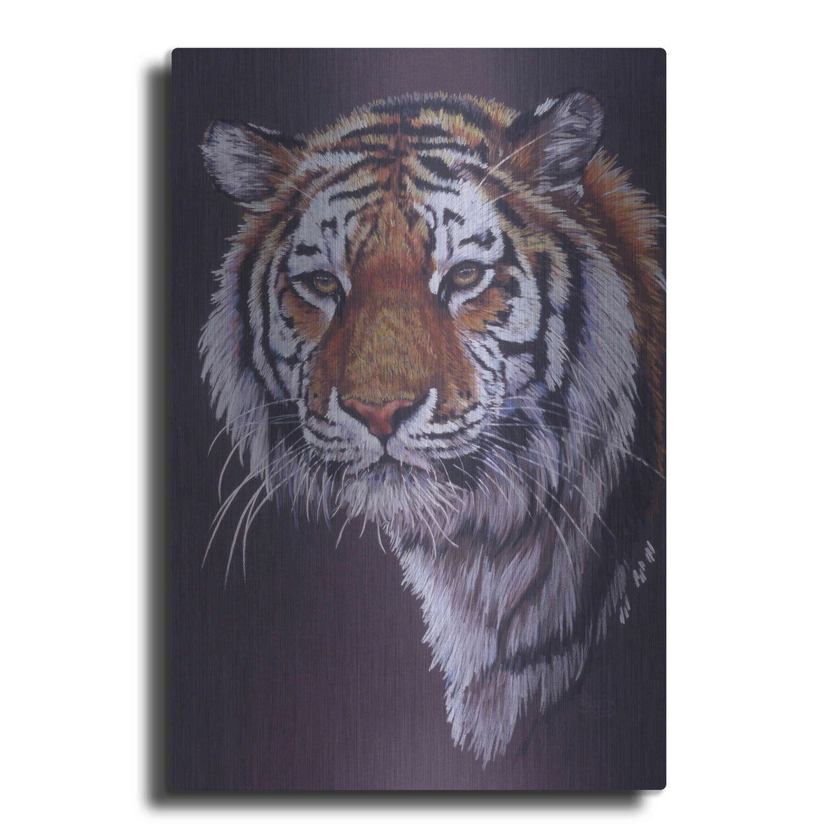 Luxe Metal Art 'Desperado' by Barbara Keith, Metal Wall Art