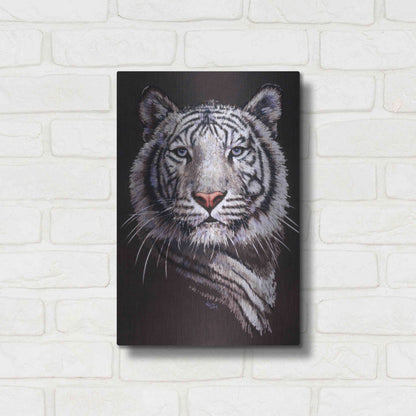 Luxe Metal Art 'Sorcerer' by Barbara Keith, Metal Wall Art,12x16