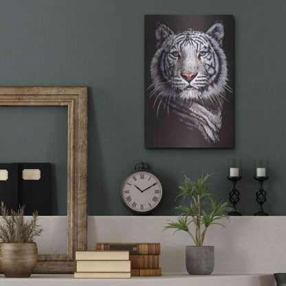 Luxe Metal Art 'Sorcerer' by Barbara Keith, Metal Wall Art,12x16