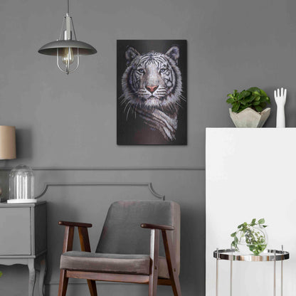 Luxe Metal Art 'Sorcerer' by Barbara Keith, Metal Wall Art,16x24