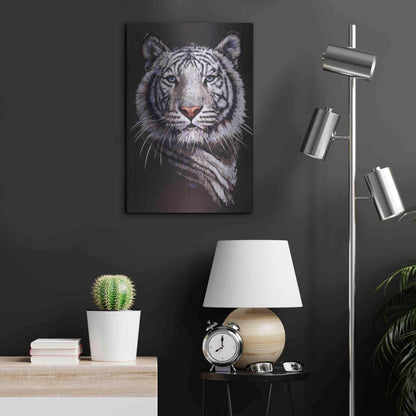 Luxe Metal Art 'Sorcerer' by Barbara Keith, Metal Wall Art,16x24