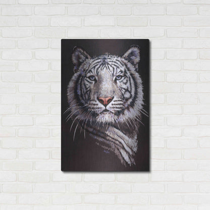 Luxe Metal Art 'Sorcerer' by Barbara Keith, Metal Wall Art,24x36