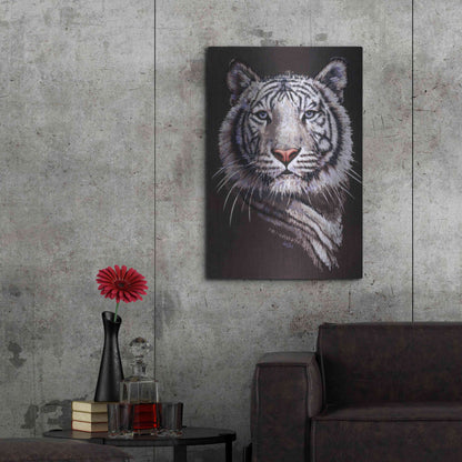 Luxe Metal Art 'Sorcerer' by Barbara Keith, Metal Wall Art,24x36