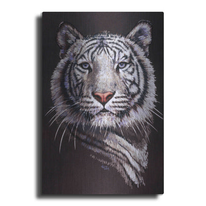 Luxe Metal Art 'Sorcerer' by Barbara Keith, Metal Wall Art