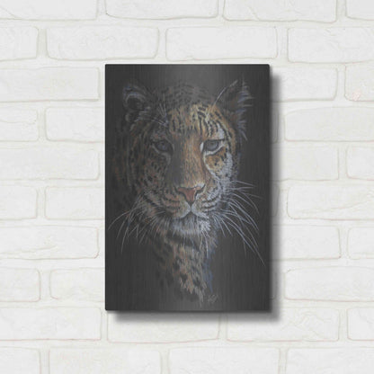 Luxe Metal Art 'Bewitching' by Barbara Keith, Metal Wall Art,12x16