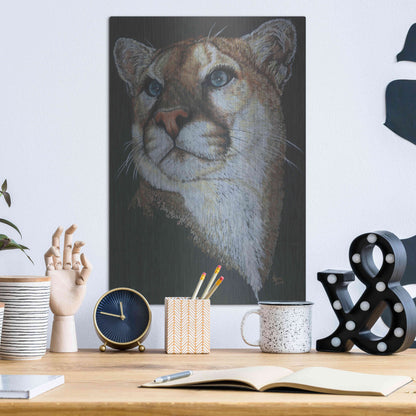 Luxe Metal Art 'Intense' by Barbara Keith, Metal Wall Art,12x16