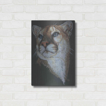 Luxe Metal Art 'Intense' by Barbara Keith, Metal Wall Art,16x24