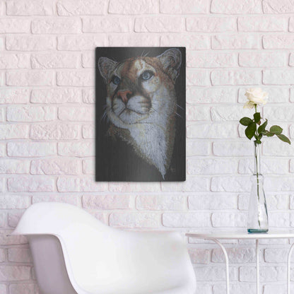 Luxe Metal Art 'Intense' by Barbara Keith, Metal Wall Art,16x24