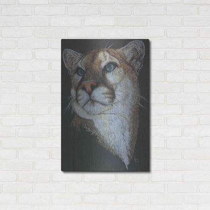 Luxe Metal Art 'Intense' by Barbara Keith, Metal Wall Art,24x36