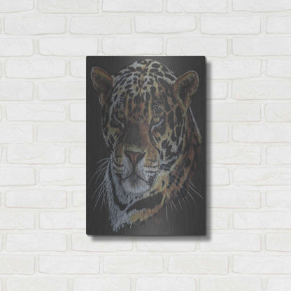 Luxe Metal Art 'Valiant' by Barbara Keith, Metal Wall Art,16x24