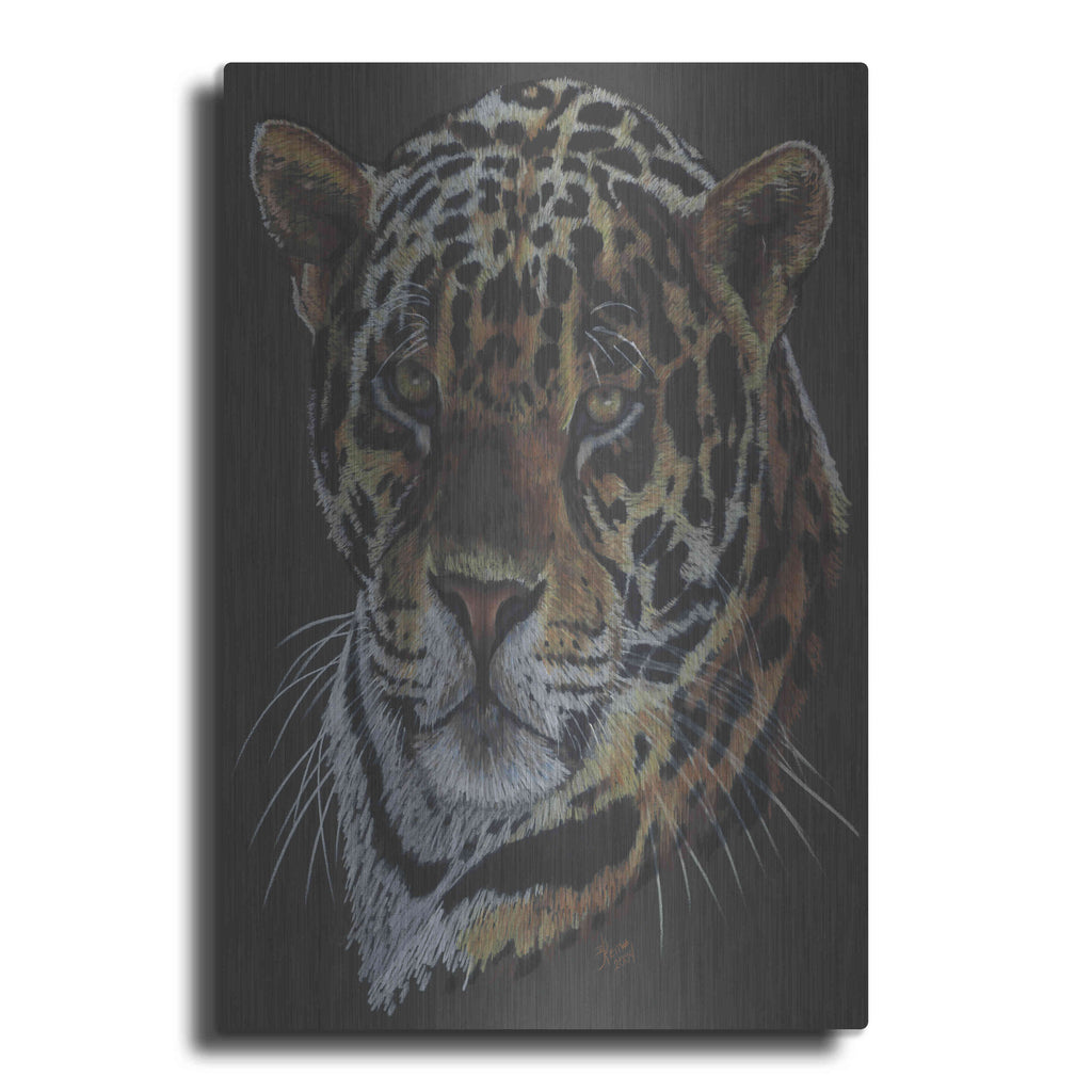 Luxe Metal Art 'Valiant' by Barbara Keith, Metal Wall Art