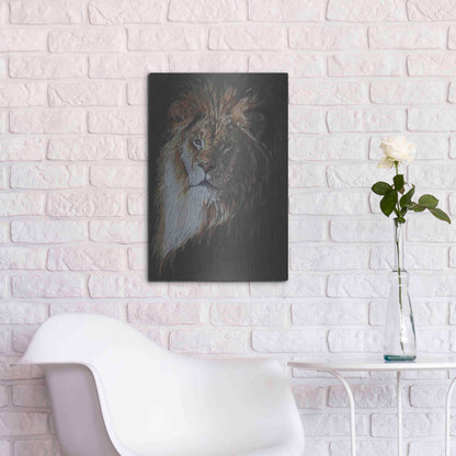 Luxe Metal Art 'Maestro' by Barbara Keith, Metal Wall Art,16x24