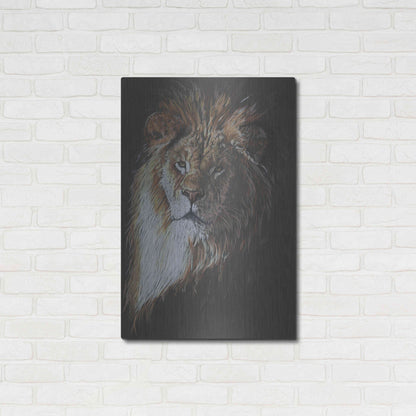 Luxe Metal Art 'Maestro' by Barbara Keith, Metal Wall Art,24x36