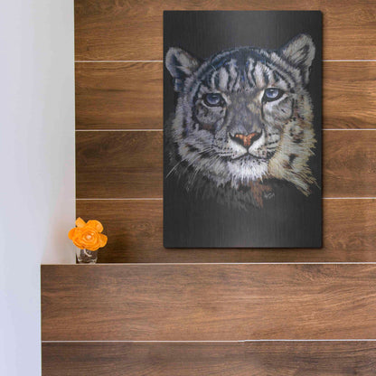 Luxe Metal Art 'Overture' by Barbara Keith, Metal Wall Art,12x16