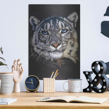 Luxe Metal Art 'Overture' by Barbara Keith, Metal Wall Art,12x16