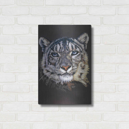 Luxe Metal Art 'Overture' by Barbara Keith, Metal Wall Art,16x24