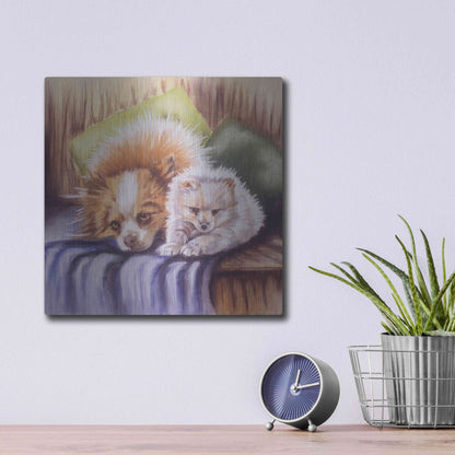 Luxe Metal Art 'I Need Sleep' by Barbara Keith, Metal Wall Art,12x12