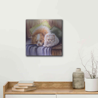 Luxe Metal Art 'I Need Sleep' by Barbara Keith, Metal Wall Art,12x12