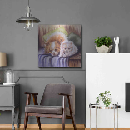 Luxe Metal Art 'I Need Sleep' by Barbara Keith, Metal Wall Art,24x24