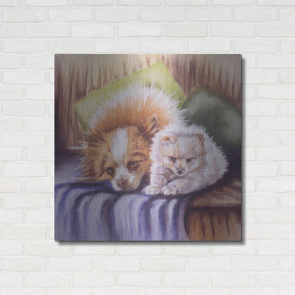 Luxe Metal Art 'I Need Sleep' by Barbara Keith, Metal Wall Art,36x36