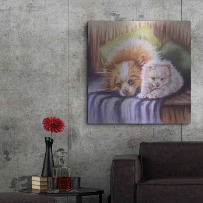 Luxe Metal Art 'I Need Sleep' by Barbara Keith, Metal Wall Art,36x36