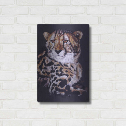 Luxe Metal Art 'Distinctive' by Barbara Keith, Metal Wall Art,16x24