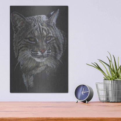 Luxe Metal Art 'Elfin' by Barbara Keith, Metal Wall Art,12x16