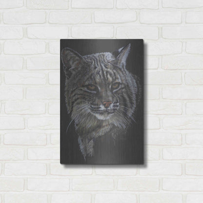 Luxe Metal Art 'Elfin' by Barbara Keith, Metal Wall Art,16x24