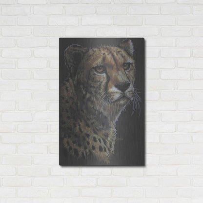 Luxe Metal Art 'Movin' On' by Barbara Keith, Metal Wall Art,24x36