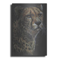 Luxe Metal Art 'Movin' On' by Barbara Keith, Metal Wall Art