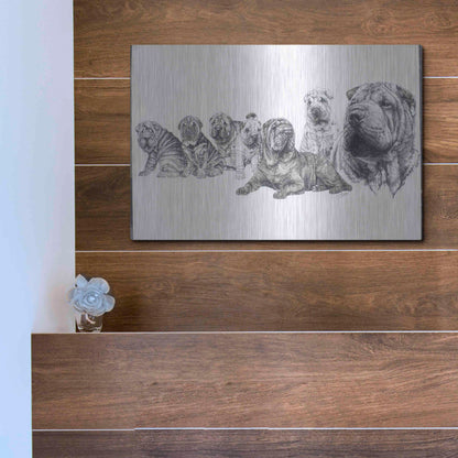 Luxe Metal Art 'Growing Up Shar Pei' by Barbara Keith, Metal Wall Art,16x12