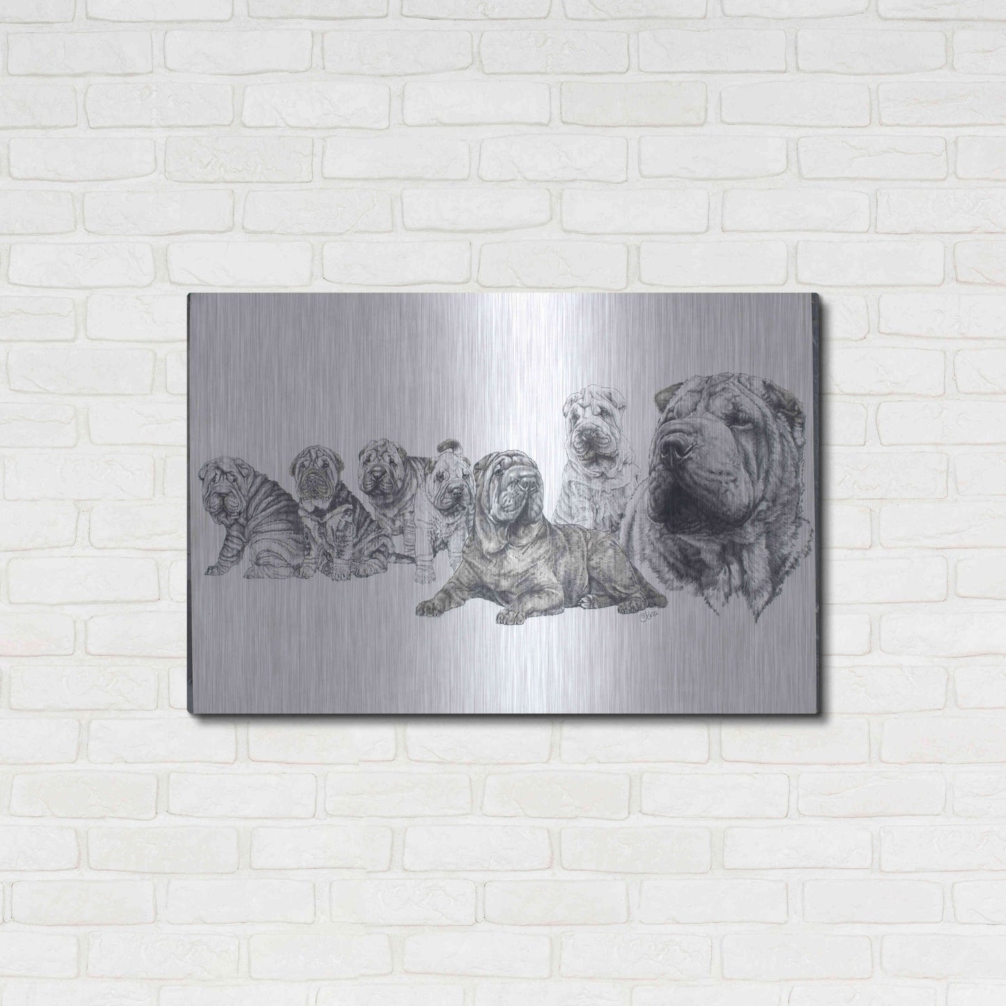 Luxe Metal Art 'Growing Up Shar Pei' by Barbara Keith, Metal Wall Art,36x24