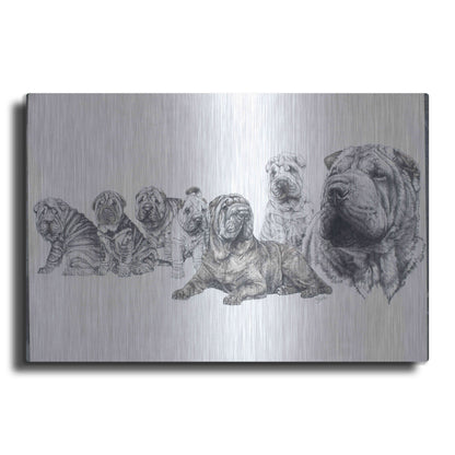 Luxe Metal Art 'Growing Up Shar Pei' by Barbara Keith, Metal Wall Art