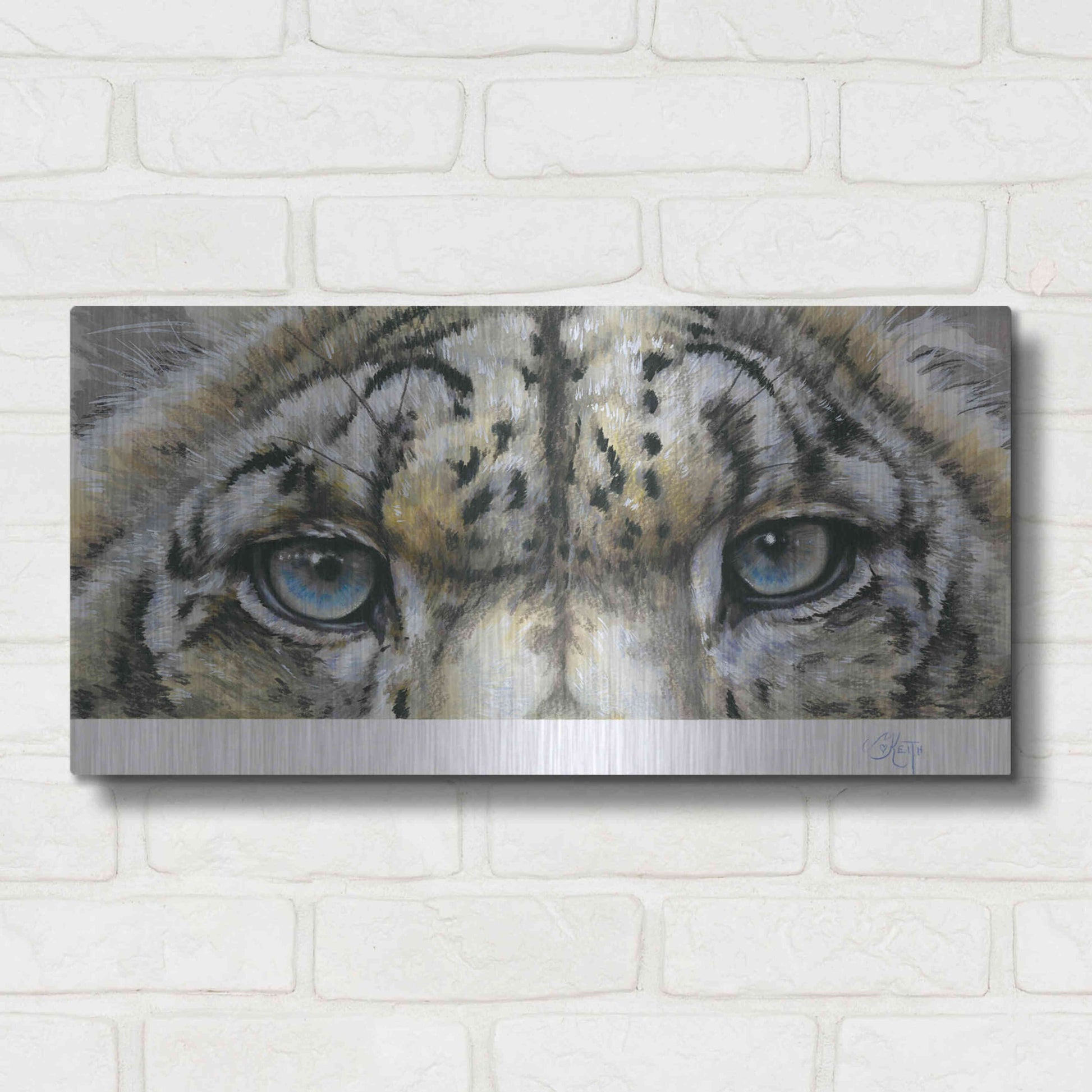 Luxe Metal Art 'Eye-Catching Snow Leopard' by Barbara Keith, Metal Wall Art,24x12
