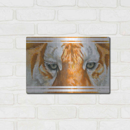 Luxe Metal Art 'Eye-Catching Golden Tabby Tiger' by Barbara Keith, Metal Wall Art,16x12