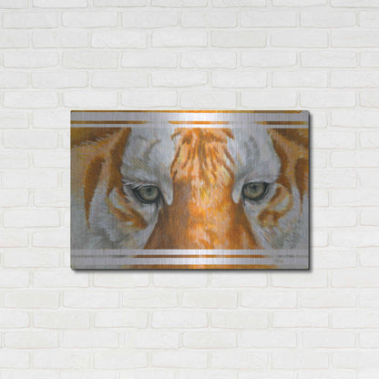 Luxe Metal Art 'Eye-Catching Golden Tabby Tiger' by Barbara Keith, Metal Wall Art,36x24