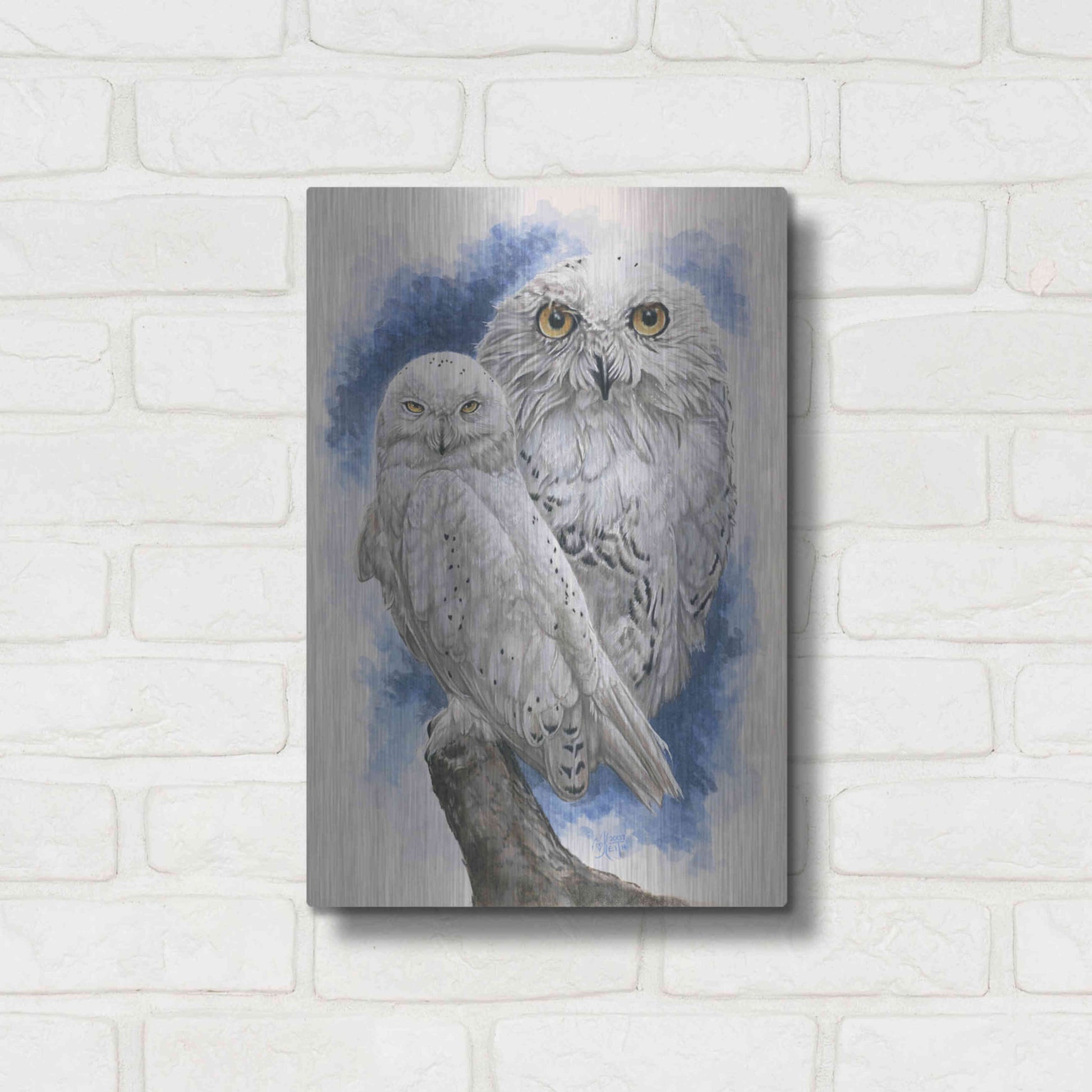 Luxe Metal Art 'Radiant' by Barbara Keith, Metal Wall Art,12x16