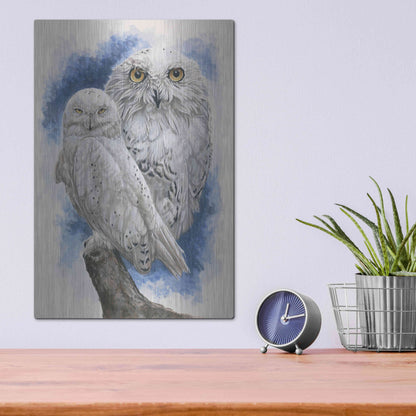 Luxe Metal Art 'Radiant' by Barbara Keith, Metal Wall Art,12x16