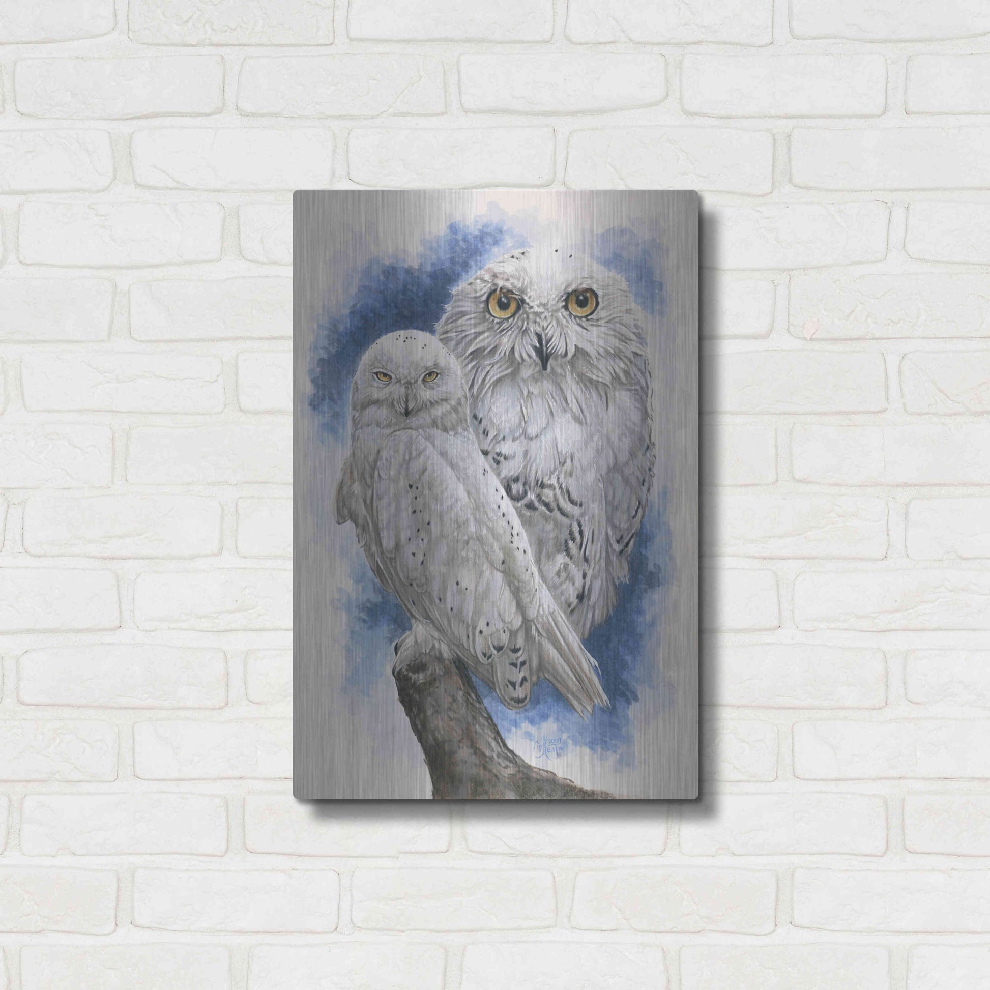 Luxe Metal Art 'Radiant' by Barbara Keith, Metal Wall Art,16x24