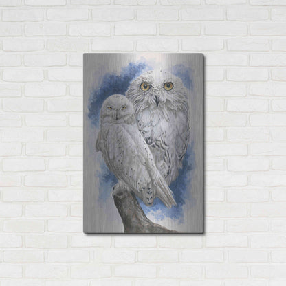 Luxe Metal Art 'Radiant' by Barbara Keith, Metal Wall Art,24x36