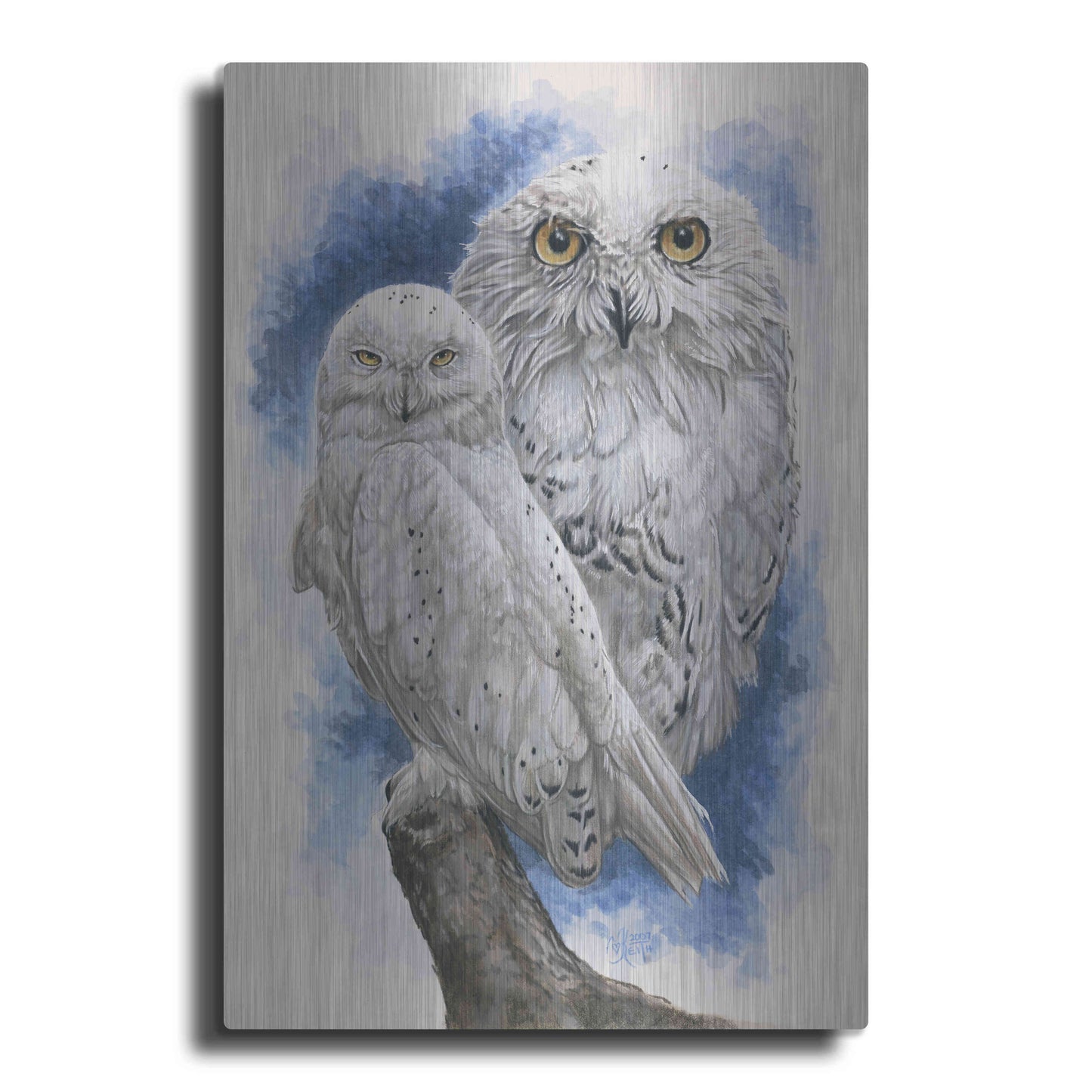 Luxe Metal Art 'Radiant' by Barbara Keith, Metal Wall Art