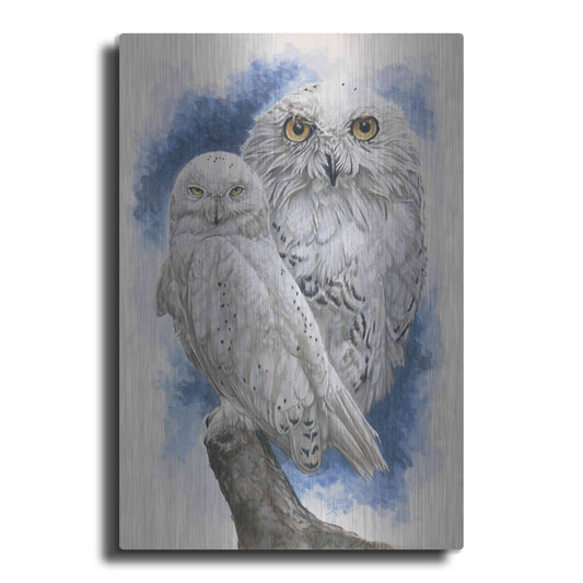 Luxe Metal Art 'Radiant' by Barbara Keith, Metal Wall Art