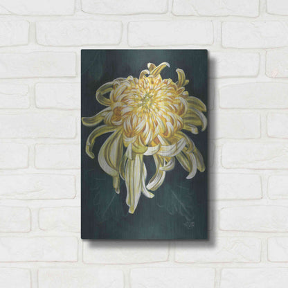 Luxe Metal Art 'Cheerfulness' by Barbara Keith, Metal Wall Art,12x16