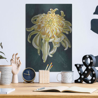 Luxe Metal Art 'Cheerfulness' by Barbara Keith, Metal Wall Art,12x16