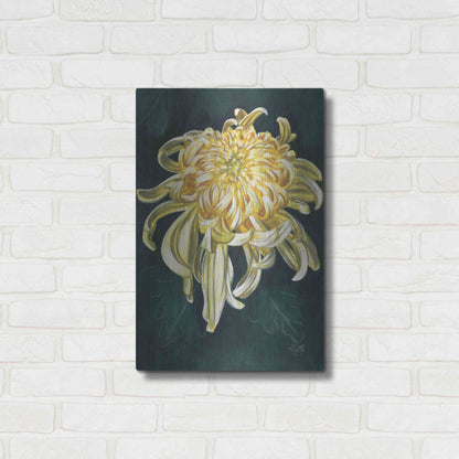 Luxe Metal Art 'Cheerfulness' by Barbara Keith, Metal Wall Art,16x24