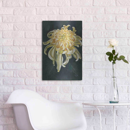 Luxe Metal Art 'Cheerfulness' by Barbara Keith, Metal Wall Art,16x24